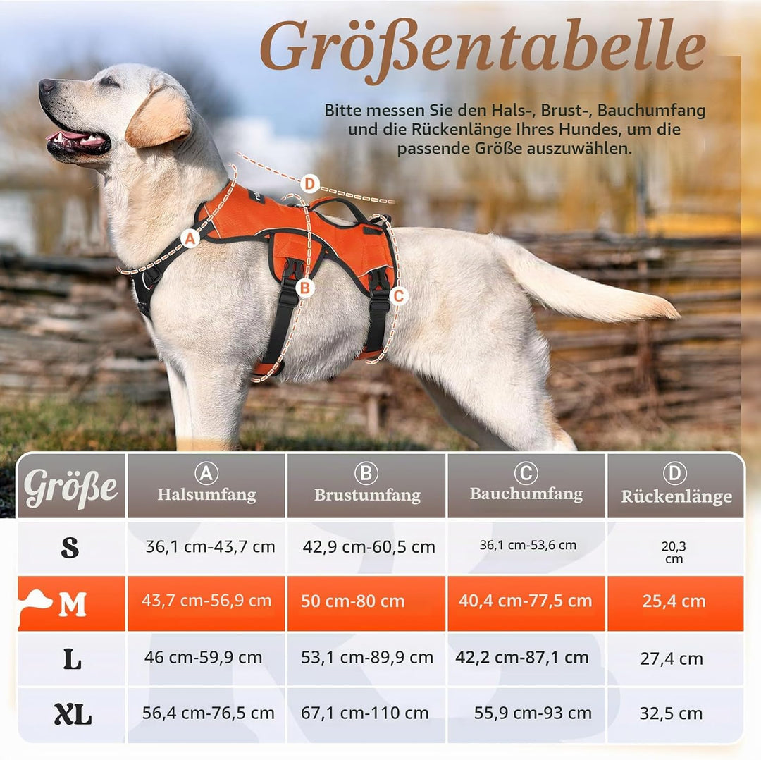 rabbitgoo Ausbruchsichere Hundegeschirr Mittelgrosse Hunde mit Grosse Griff, Anti Zug Sicherheitsges