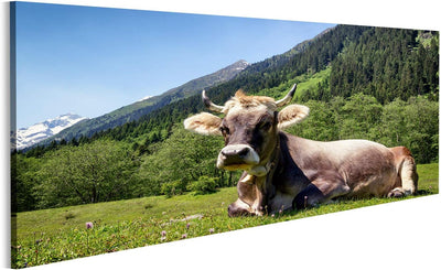 Bild auf Leinwand Kuh An Der Alpen Wandbild Poster Kunstdruck Bilder Format: 120x40cm - Panorama, Fo