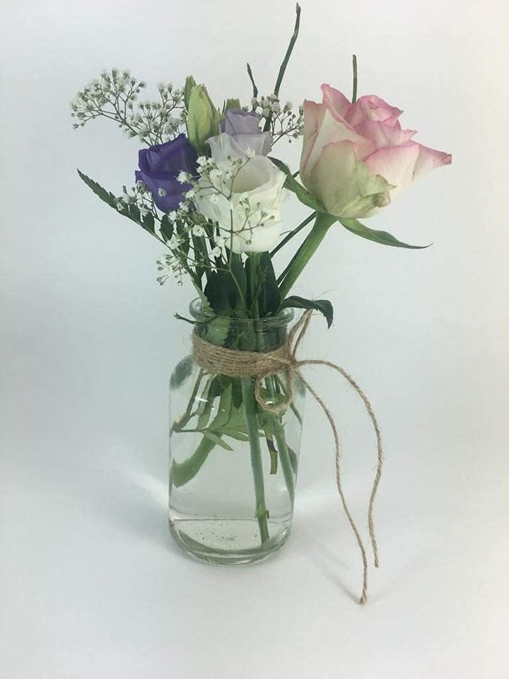 casavetro 10 x kleine Vasen Milk-rund 300 ml kleine Glas-vasen Deko-Flaschen Fläschchen Apotheker(10