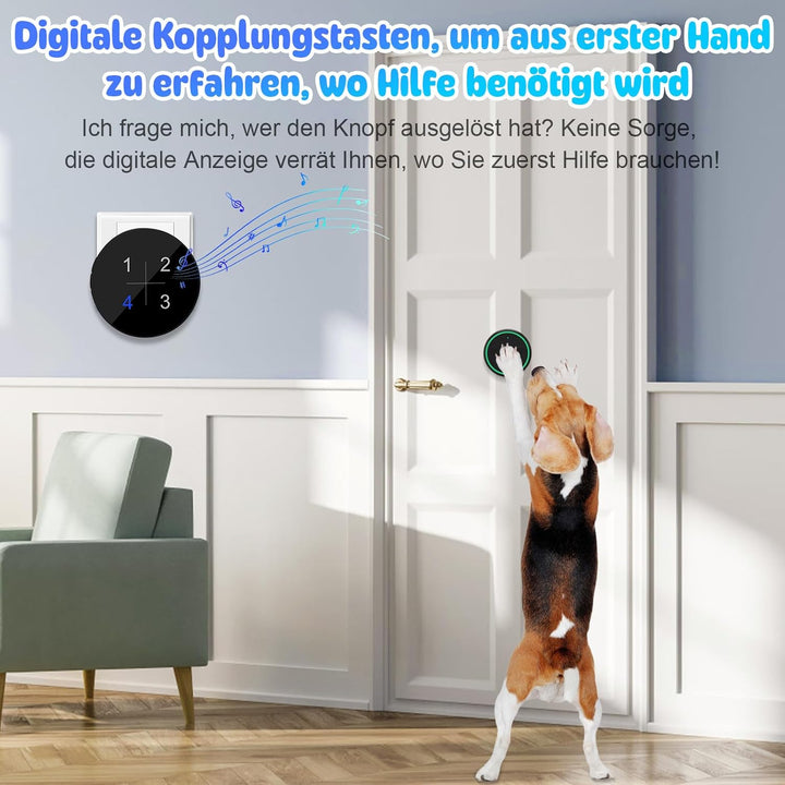 DAYTEE Daytech Katzenklingel/Hundetürklingel mit Digitaler Anzeige, Berühren Aussen wasserdichte Tür