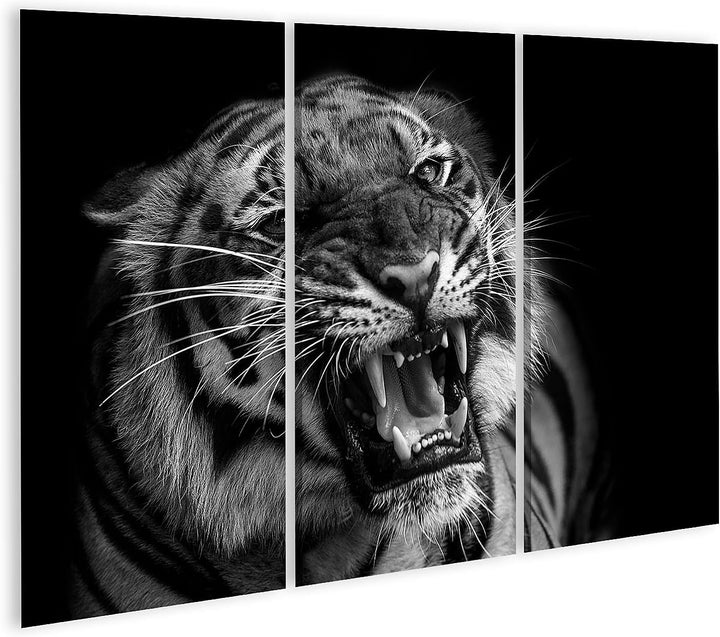 islandburner Bild auf Leinwand Sumatra Tiger Raubkatze Bilder Wandbilder Poster Leinwand 130x80cm -