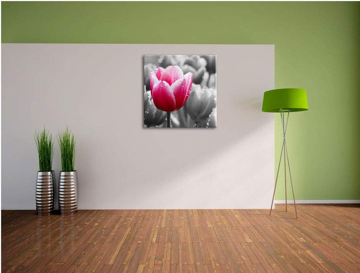 Pixxprint Tulpen im Morgentau als Leinwandbild/Grösse: 70x70 cm/Wandbild/Kunstdruck/fertig bespannt,