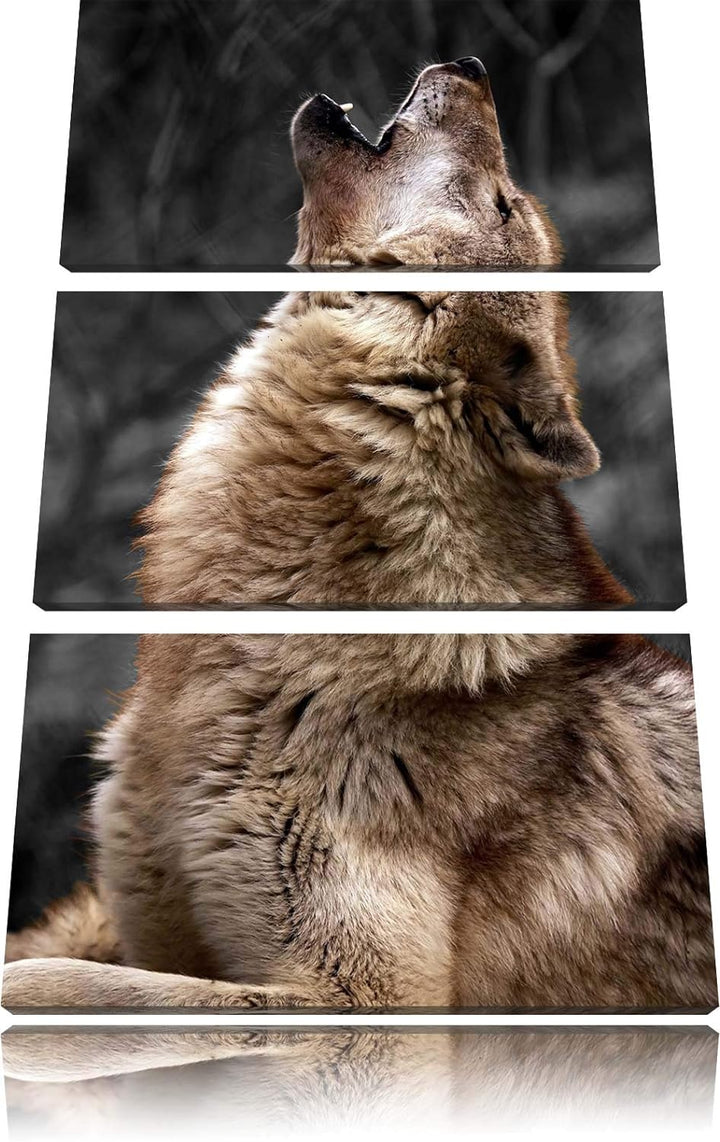 Anmutiger Heulender Wolf schwarz/weiss 3-Teiler Leinwandbild 120x80 Bild auf Leinwand, XXL riesige B