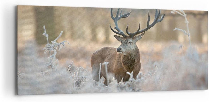 Panorama Bilder auf Leinwand 100x40cm Leinwandbild Hirsch Wald Natur Gross Wanddeko Bild Schlafzimme