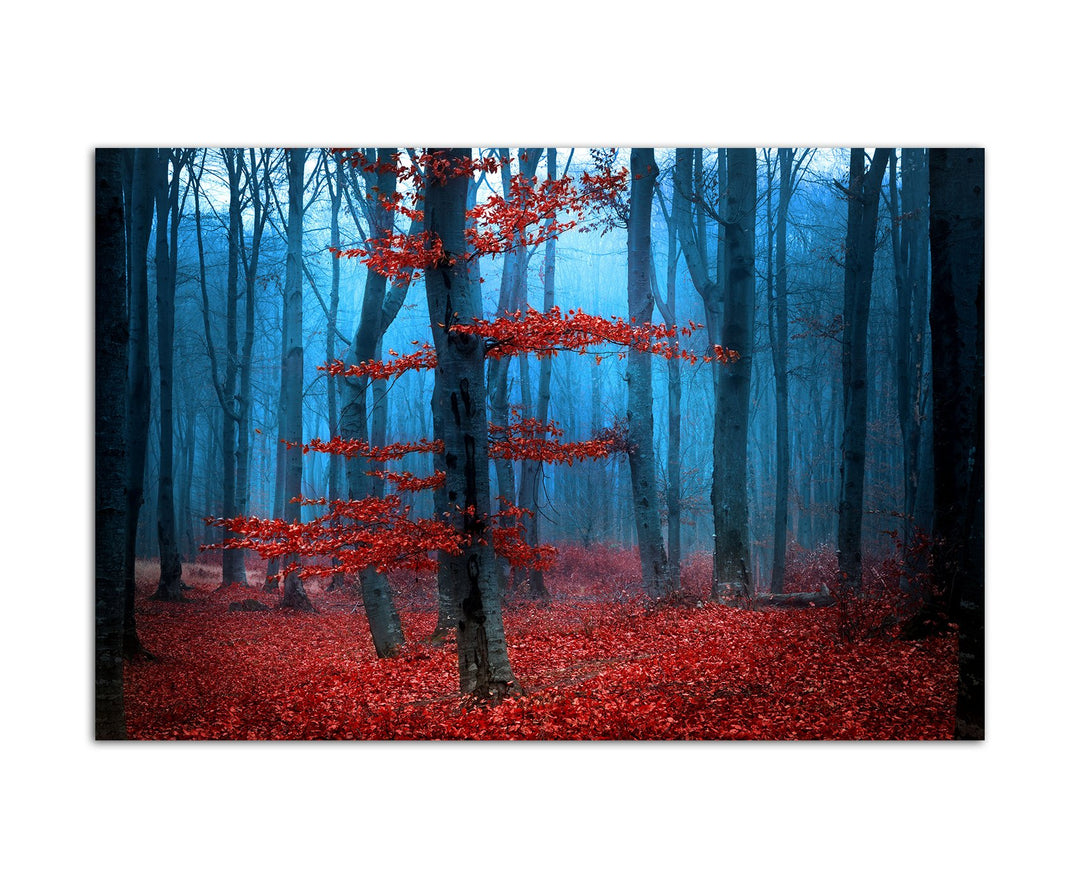 Paul Sinus Art 120x80cm - WANDBILD Wald Bäume Blätter Nebel Herbst - Leinwandbild auf Keilrahmen mod