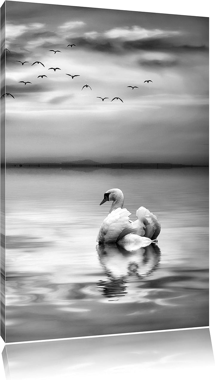 Pixxprint Schwan bei Sonnenuntergang / 100x70cm Leinwandbild bespannt auf Holzrahmen/Wandbild Kunstd
