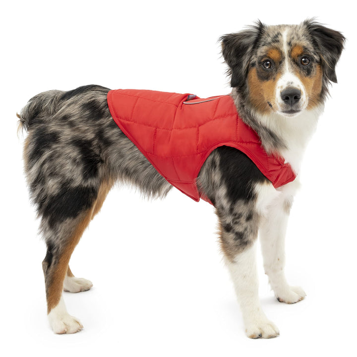 Kurgo Loft Hundejacke, Mit Hundegeschirr kombinierbar, Wasserdicht und reflektierend, Ideal für den