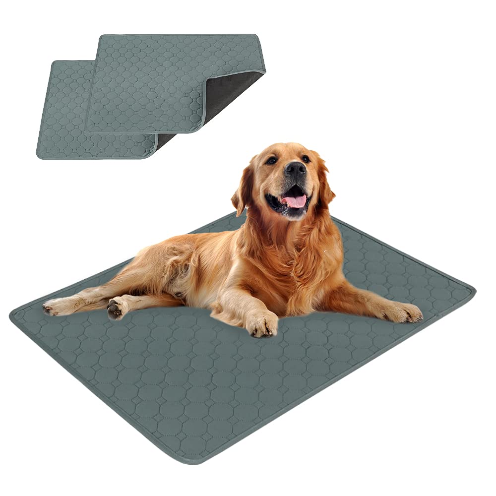 Trainingsunterlagen Welpen,Waschbar Haustier-Urinunterlage,Schnell Absorbierend Hunde Matte,Wiederve