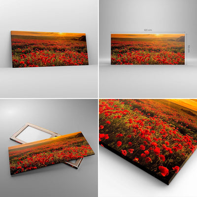 Wandbilder Dekoration Wohnzimmer Mohn Blume Wiese Panorama Bilder auf Leinwand 120x50cm Leinwandbild