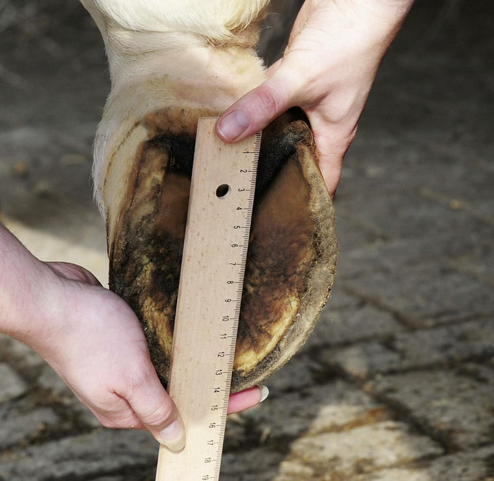 HKM Hufschuhe für Pferde – Pferdehufschuh Pferdeschuh mit rutschhemmender Schuhsohle & weicher Polst