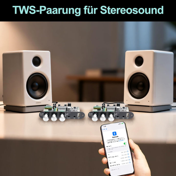 Bluetooth 5.3 Mono Verstärker Board Modul, 100W Audioverstärker mit Echo & EQ-Regelung, TWS-Pairing