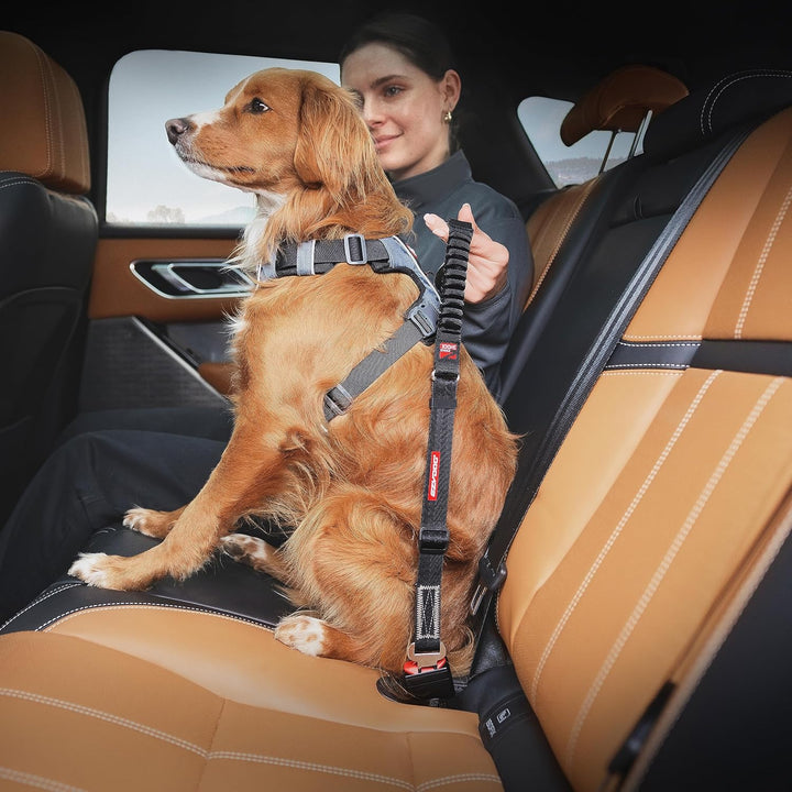 EzyDog Anschnallgurt Hund Auto – Click Zero Shock Hundeanschnaller mit Stossdämpfer, verstellbar, ko
