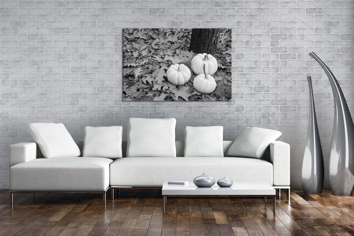 deyoli frische Kürbise Effekt: Schwarz&Weiss Format: 120x80 als Leinwandbild, Motiv fertig gerahmt a