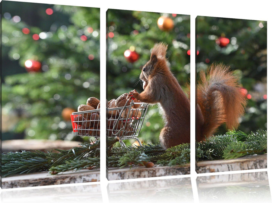 Pixxprint Eichhörnchen als Leinwandbild | Grösse: 3 Teilig (120x80) | Wandbild| Kunstdruck | fertig