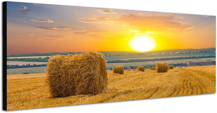 Paul Sinus Art Panoramabild auf Leinwand und Keilrahmen 150x50cm Feld Strohballen Herbst Sonnenunter