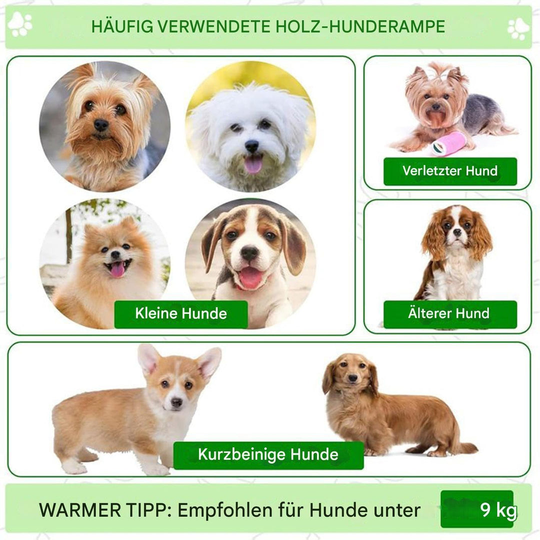 Hund Rampe - Hundetreppe Für Bett - Tragbare Rampe Für Ältere Und Verletzte Tiere, Katzen, Schonende