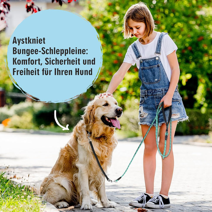Aystkniet Bungee Schleppleine für Hunde 3M 5M 9M 10M 15M 20M 30M, Schockabsorbierende Hundeleine mit