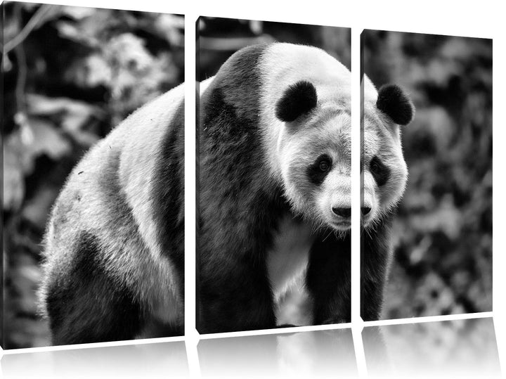 Pixxprint Monocrome, grosser Pandabär 3-Teiler Leinwandbild 120x80 Bild auf Leinwand