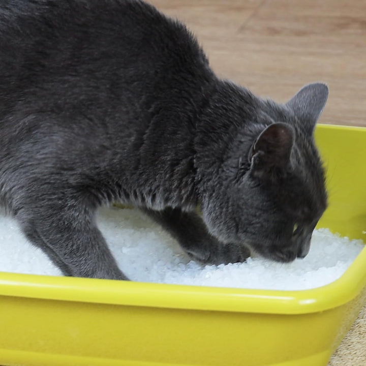 Croci Easy Clean - Katzenstreu aus Silikon - Sandstreu für Katzen in Silikonkristallen - Katzenstreu