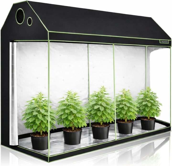 Zelsius Growzelt MyHomeGrow Grow Tent für Dachschräge Dachboden | Indoor Growbox | schwarz grün | Gr