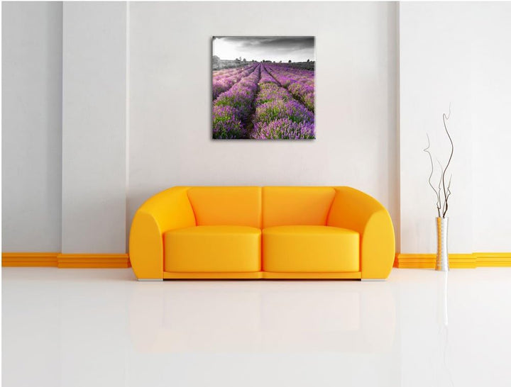 Pixxprint Lavendelfelder in der Provence schwarz/weiss, Format: 70x70 auf Leinwand, 70x70