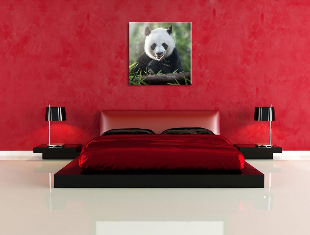 Pixxprint Niedlicher Panda isst Bambus als Leinwandbild | Grösse: 70x70 cm | Wandbild | Kunstdruck |