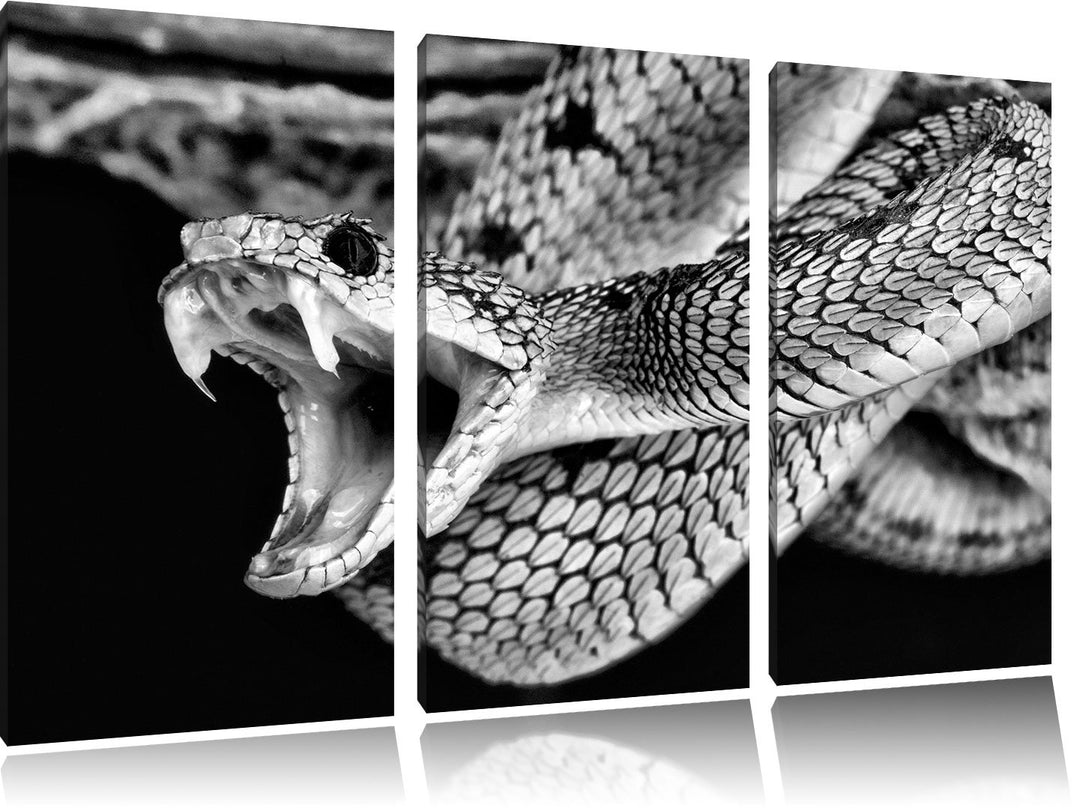 Pixxprint Monocrome, Giftige grüne Schlange 3-Teiler Leinwandbild 120x80 Bild auf Leinwand