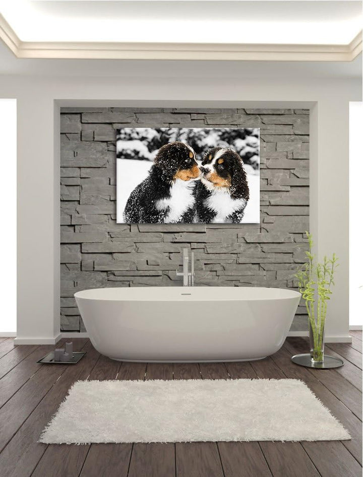 süsse Bernersennenhunde im Schnee schwarz/weiss Format: 100x70 auf Leinwand, XXL riesige Bilder fert