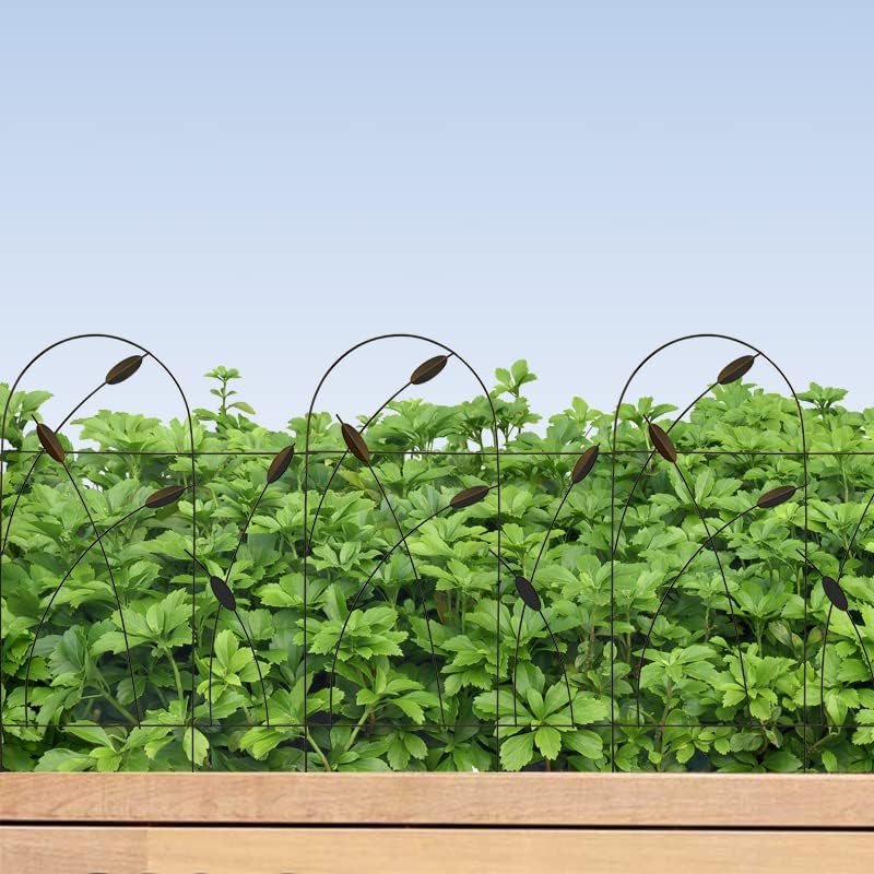 Thealyn Metall dekorative Gartenzaun Grenze, 81 cm x 4.87m, rostfrei Schmiedeeisen Landschaft Zaun f