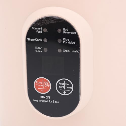 Mini-Elektro-Kochtopf, 500 W, Tragbarer Schmortopf für Reis, Eiernudeln, Brei, Elektroherd mit Sicht