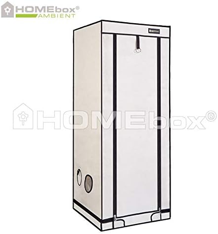 Weedness HOMEbox Ambient Q60+ Growbox 60x60x160 cm - Zuchtzelt Growschrank Growzelt Zuchtbox Gewächs