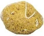 Natuur Spons voor de schilder 18 - 20 cm diameter