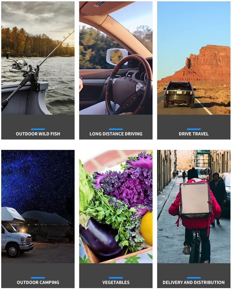 Kühltasche Auto 12V,Elektrische Thermo Kühltasche Picknicktasche Lunchtasche,Picknick Kühltasche Fal