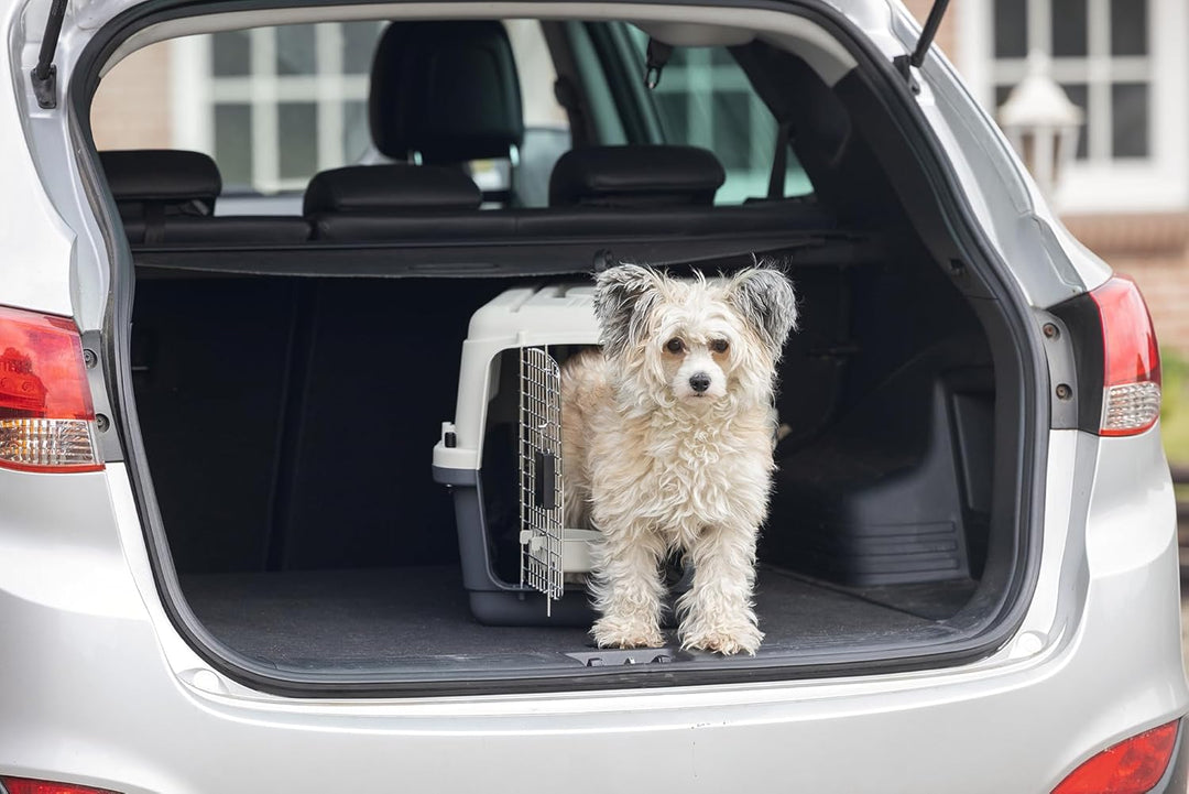 Karlie Flugzeugbox Nomad L: 61 cm B: 40 cm H: 40.5 cm S < 10,00 kg Frontloader L 61 x B 41 x H 40 cm