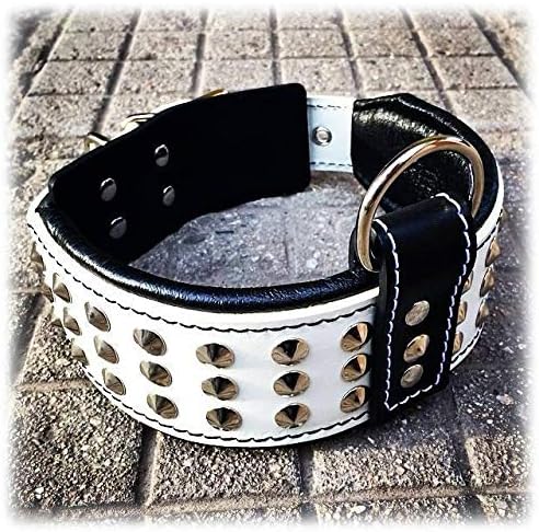 Bestia Star Hundehalsband mit Nieten und Innenpolsterung 6,5 cm Breit XXL - 65 bis 75 cm Halsumfang