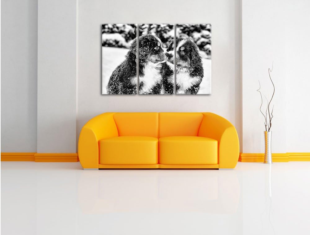 Pixxprint Monocrome, Bernersennen Hunde Welpen im Schnee 3-Teiler Leinwandbild 120x80 Bild auf Leinw
