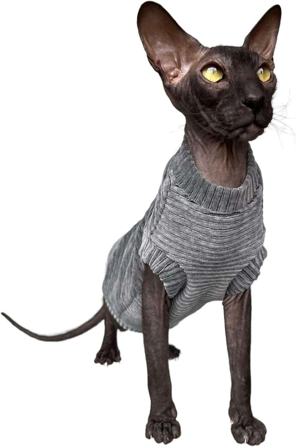 Kotomoda Katzen-T-Shirt aus Cord fьr Sphynx und nackte Katzen (klein, dunkelgrau) Small grau, Small