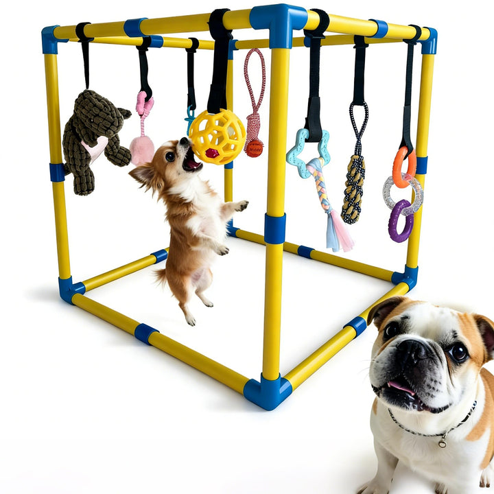 Welpenspielstudio, mit 9 interaktiven Hundespielzeugen, Welpenanreicherungsspielzeug, um sie zu besc