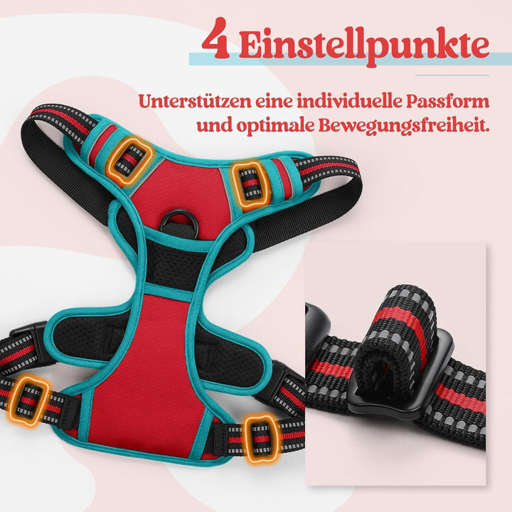 rabbitgoo Hundegeschirr Mittelgrosse Hunde, Anti Zug Geschirr mit Kontrolle, No Pull Verstellbar Hun