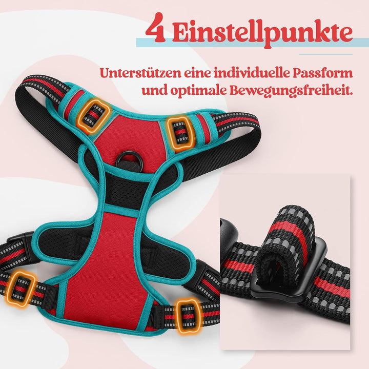 rabbitgoo Hundegeschirr Mittelgrosse Hunde, Anti Zug Geschirr mit Kontrolle, No Pull Verstellbar Hun