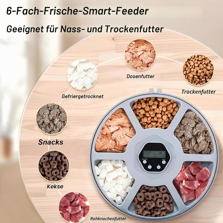 Automatischer Katzenfutterspender – 6 Mahlzeiten pro Tag, Frischehaltung mit EIS-Akkus, Einfache Rei