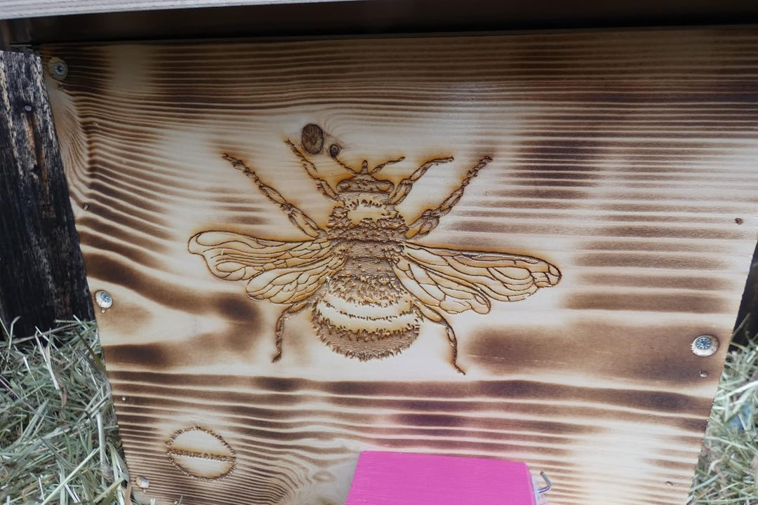 Hummelkasten mit Wachsmottensperre, Sichtfenster und Nistmaterial Wetterfest Bienenhaus Hummelhaus N