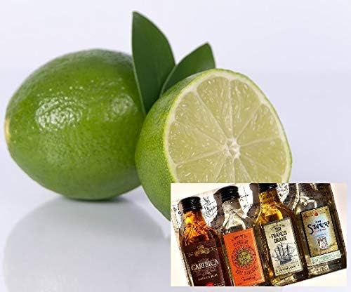 Saunaaufguss Limette-Rum 250ml Dufte Momente Sauna Aufguss Konzentrat Premium