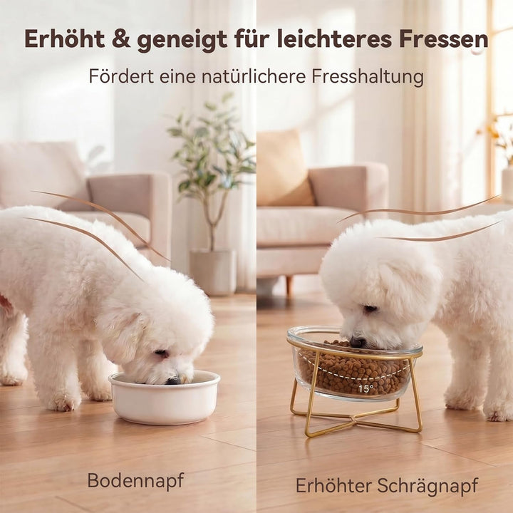 Futternapf Hund Erhöht aus Glas - Hundenapf mit Metallständer - Fress- und Wassernapf für Kleine bis