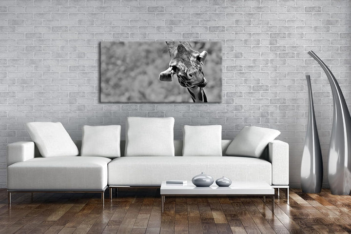 lustige Giraffe Panorama 120x60 cm Effekt: Schwarz/Weiss als Leinwandbild, Motiv fertig gerahmt auf