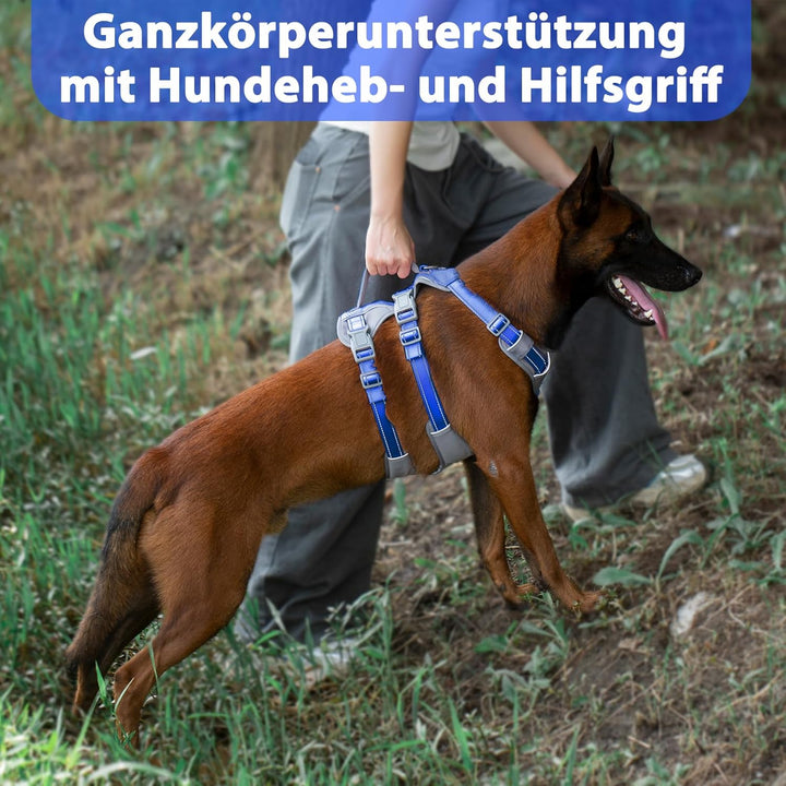 Huntboo Sicherheitsgeschirr Hund Ausbruchsicher, Panikgeschirr für Hunde, Reflektierendes Geschirr H