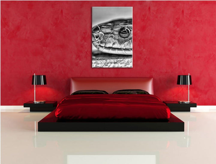 Pixxprint wachsame Natter / 100x70cm Leinwandbild bespannt auf Holzrahmen/Wandbild Kunstdruck Dekora