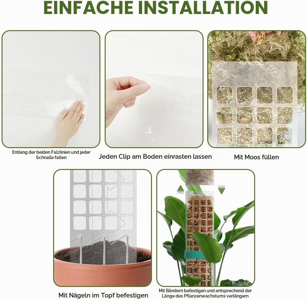 Vicloon Moosstab Rankhilfe, 6 Stück Kunststoff-Moosstange 61cm Monstera Pflanzstab, Pflanzenunterstü