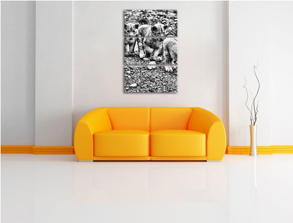 Pixxprint niedliche Löwenjungtiere als Leinwandbild/Grösse: 3 Teilig (120x80) cm/Wandbild/Kunstdruck