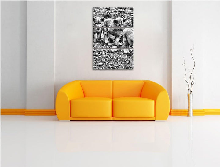 Pixxprint niedliche Löwenjungtiere als Leinwandbild/Grösse: 3 Teilig (120x80) cm/Wandbild/Kunstdruck